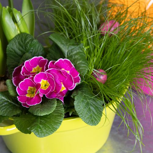 Article Jardinière en tôle, décoration printanière pour le salon, 25 cm, lot de 3