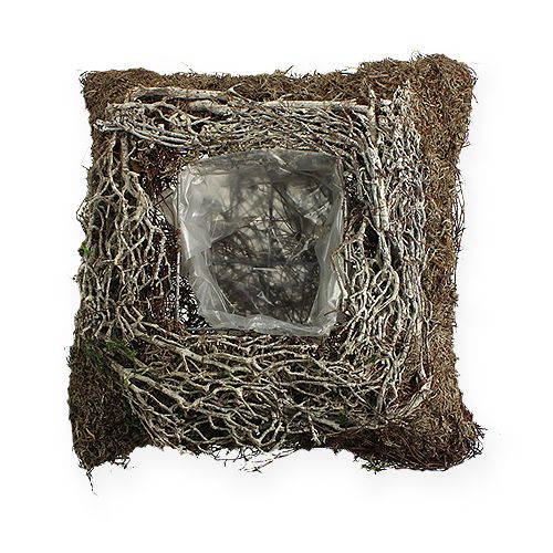 Floristik24 Coupelle à plantes rectangulaire 20 x 20 cm