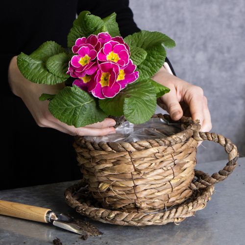 Article Pot de plantation avec soucoupe, petit panier de plantation en paille, Ø17cm H13cm