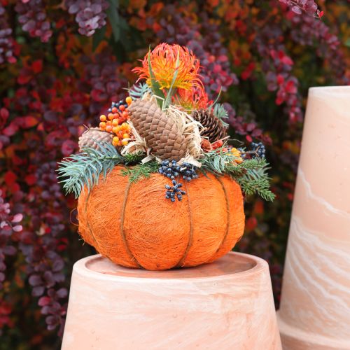 Article Pot de fleurs décoration citrouille orange/jaune-vert sisal Ø21cm H12cm