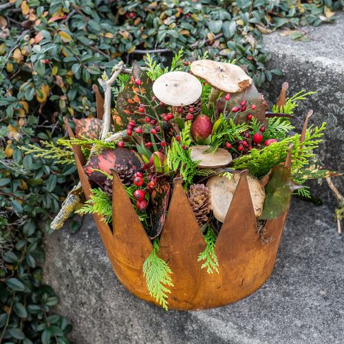 Floristik24 Cache-pot rouille bol décoratif couronne décorative en métal vintage Ø30cm