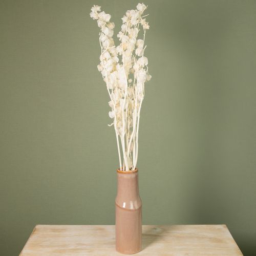 Article Physalis séché blanchi décoration de fleur de lanterne Nicandra 75-80cm 100g