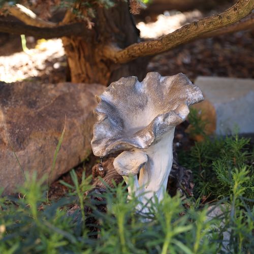 Figurine décorative en pierre moulée en forme de champignon, décoration de jardin, grise, 18 x 16 x 25 cm