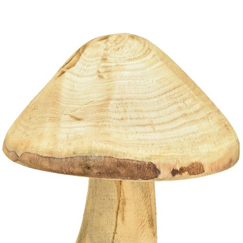Floristik24 Champignon décoratif naturel en bois d'orme champignon en bois 27cm