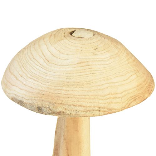 Floristik24 Sculpture champignon en bois d'orme naturel - Design rustique, 37 cm - Décoration de jardin et d'intérieur stylée