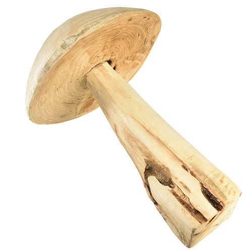 Floristik24 Sculpture champignon en bois d'orme naturel - Design rustique, 37 cm - Décoration de jardin et d'intérieur stylée