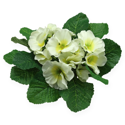 Floristik24 Fleurs artificielles crème d'onagre