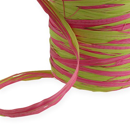 Floristik24 Ruban en raphia Bicolor vert pomme-rose 200 m