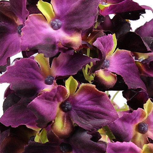 Floristik24 Hortensia paniculata mauve 74 cm