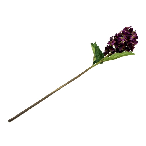 Floristik24 Hortensia paniculata mauve 74 cm