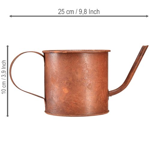 Arrosoir décoratif rouille mini cache-pot métal Ø10cm H9cm | Floristik24.fr