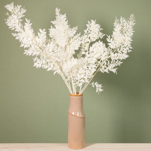 Article Branches de Ruscus branches décoratives fleurs séchées blanchies 10 pcs