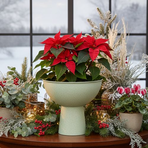 Coupe décorative sur pied pour plantes 25 cm effet granit vert gris | Floristik24.fr