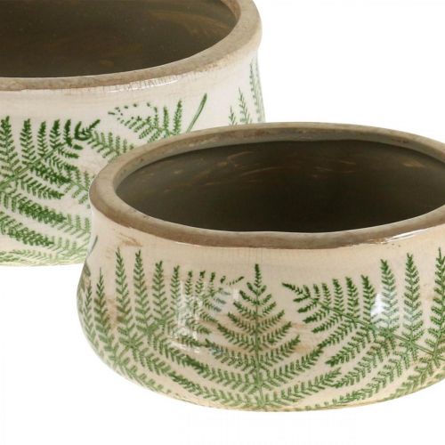 Floristik24 Jardinière fougère en faïence ronde céramique Ø14/18cm lot de 2