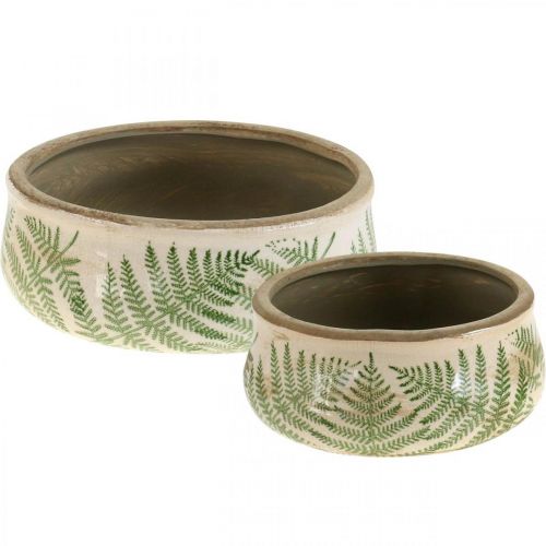 Floristik24 Jardinière fougère en faïence ronde céramique Ø14/18cm lot de 2