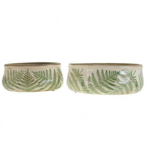 Floristik24 Jardinière fougère en faïence ronde céramique Ø14/18cm lot de 2