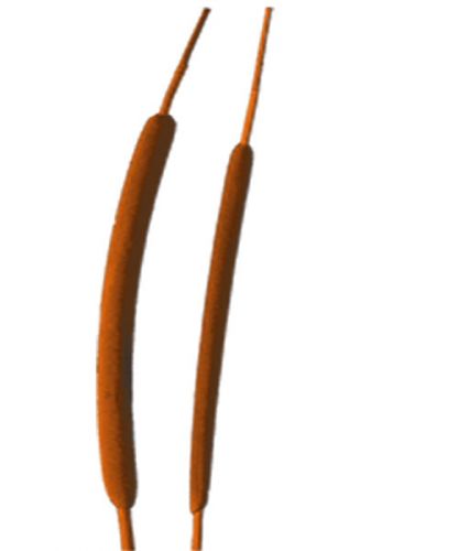 Floristik24 Ampoule à roseau mini orange 70 pcs