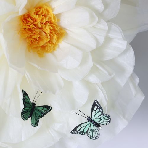 Lot de 12 papillons décoratifs en plumes, vert, 7 cm | Floristik24.fr