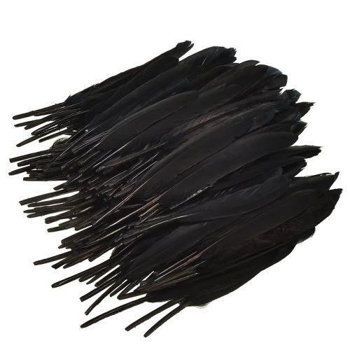 Article Plumes noires Plumes d&#39;oie décoratives noires 11-14 cm 180 pcs
