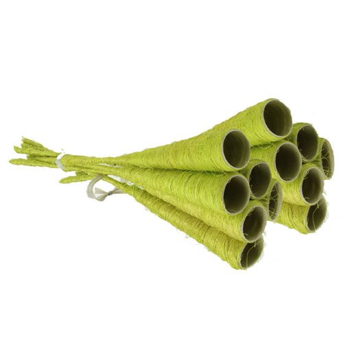 Floristik24 Entonnoir en sisal vert clair Ø 3 cm L. 30 cm 12 p.
