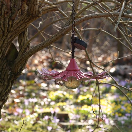 Article Lampe Solaire LED Fleur Jardin LED Métal Rose Ø30cm
