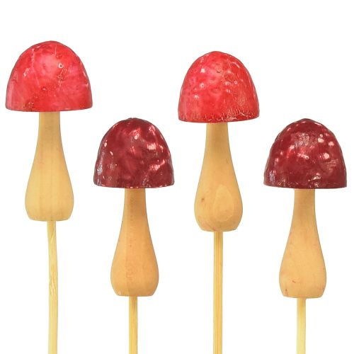 Floristik24 Bouchon de fleur champignon bouchon décoratif en bois rouge Ø2,5cm 8 pièces