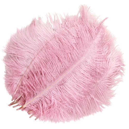 Article Plumes d'autruche Vraies Plumes Décoration Rose 20-25cm 12 pcs