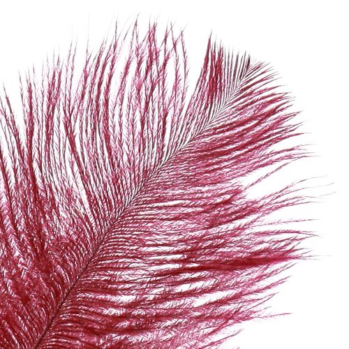 Article Plumes d'autruche vraies plumes décoration vin rouge 20-25cm 12 pcs