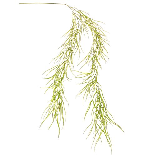 Article Succulente suspendue verte 145cm