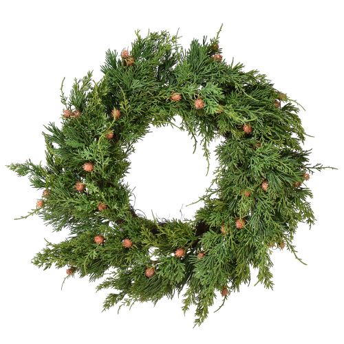 Floristik24 Couronne de sapin Thuya avec base de bourgeons couronne de vigne Ø50cm