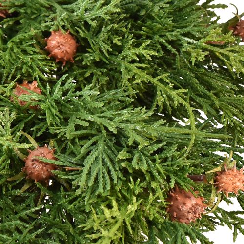 Floristik24 Couronne de sapin Thuya avec base de bourgeons couronne de vigne Ø50cm