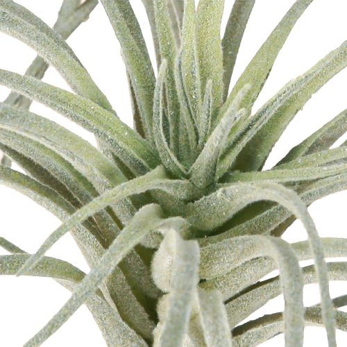Article Plantes vertes artificielles succulentes Tillandsia 13 cm