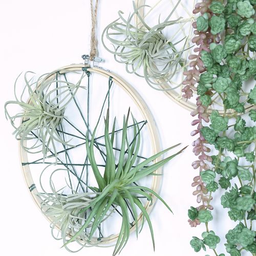 Article Plantes vertes artificielles succulentes Tillandsia 13 cm