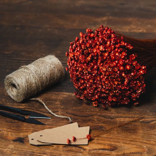 Article Bouquet de fleurs séchées, un ajout charmant aux vases ou compositions florales, 44 cm