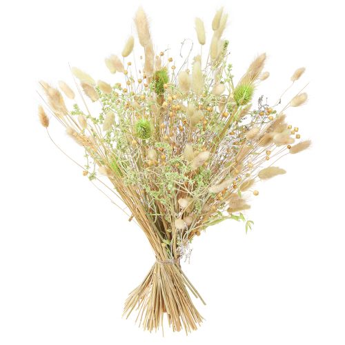 Article Bouquet sec de cardères avoine lin menthe blanc naturel 40cm 80g