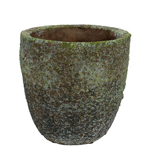 Floristik24 Jardinière avec mousse Ø16cm H16cm 1p