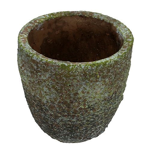 Floristik24 Jardinière avec mousse Ø16cm H16cm 1p