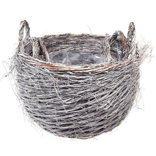 Floristik24 Ensemble de paniers en osier lavé blanc - 3 tailles (42 cm, 36 cm, 26 cm) - Polyvalent pour la décoration et le rangement - Lot de 3 pièces