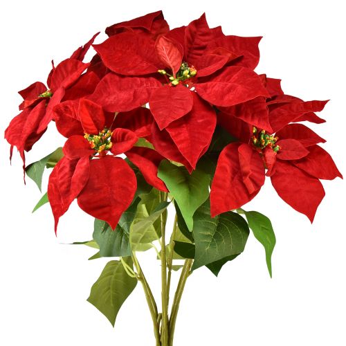 Article Poinsettia Etoile de Noël Artificielle Rouge Vert L57cm