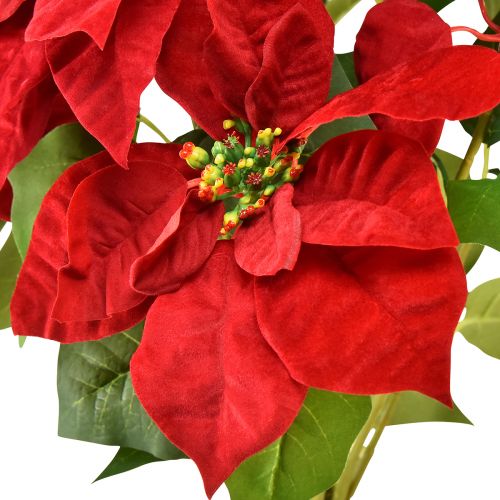 Article Poinsettia Etoile de Noël Artificielle Rouge Vert L57cm
