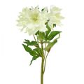 Floristik24 Rose de Noël artificielle Rose des neiges Fleurs décoratives en soie 36 cm