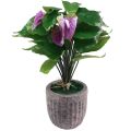 Floristik24 Fleurs artificielles anthurium artificiel plantes artificielles en pot 41cm