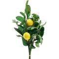 Floristik24 Branches décoratives citrons décoratifs méditerranéens artificiels 50cm