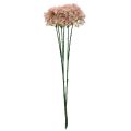 Floristik24 Fleur décorative Wild Allium artificielle rose 70cm 3pcs