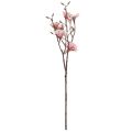 Floristik24 Branche de magnolia avec 6 fleurs artificielles magnolia saumon 84cm
