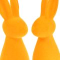 Floristik24 Lapins de Pâques orange floqués lapins de décoration de Pâques 8x10x29cm 2pcs