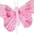 Floristik24 Papillons décoratifs sur fil plumes colorées 5,5×8cm 12pcs