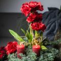 Floristik24 Amaryllis artificielle rouge 3 fleurs en soie sur boules de mousse H64cm