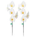 Kalla artificielle blanche
