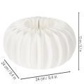 Citrouille en papier nid d'abeille blanche ronde 24 cm pour décorations automnales et compositions florales (4 pièces) | Floristik24.fr